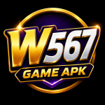 W567 Game