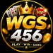 Wgs456 Game